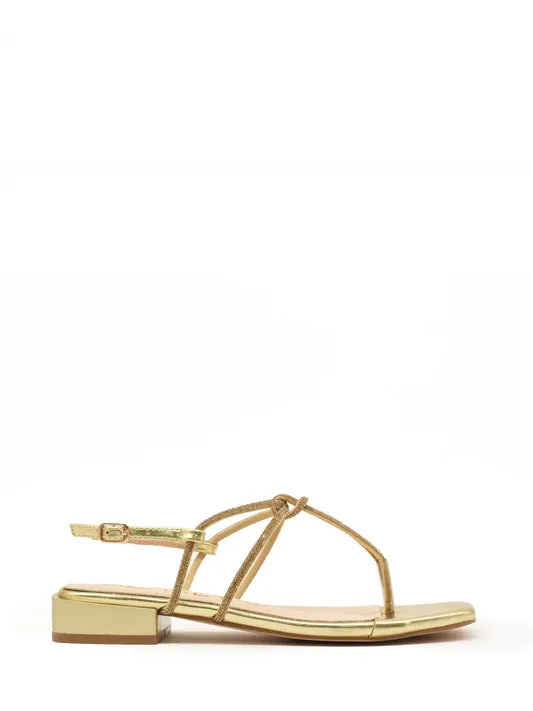 AZAREY 562H117 ORO