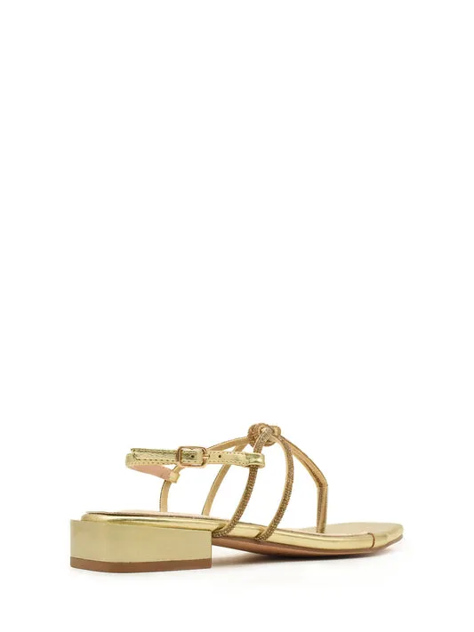 AZAREY 562H117 ORO