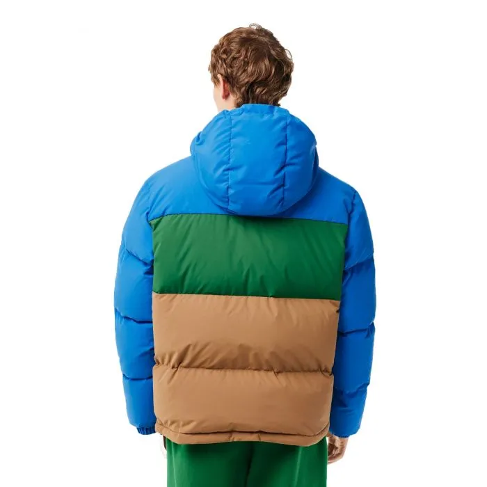 Campera Lacoste Blouson