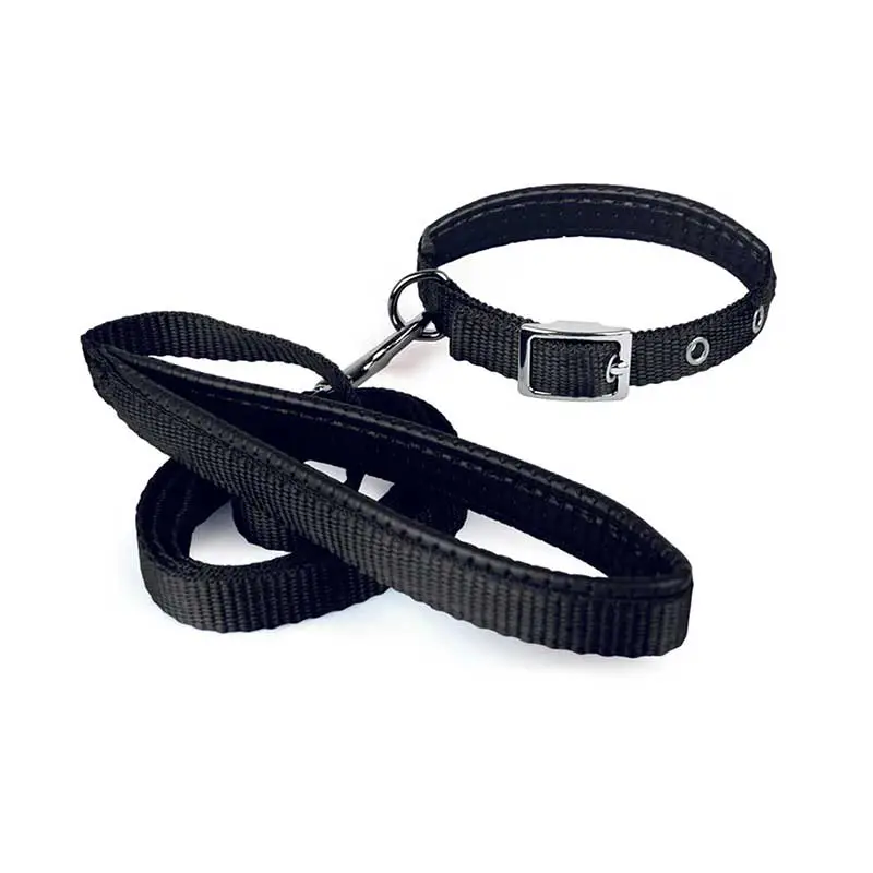 Collar y Correa para Perro Soft Petit 632408 negro Talla G