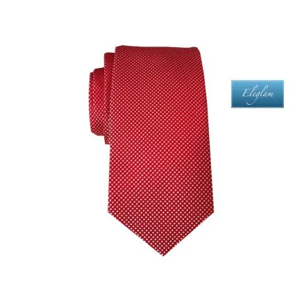 CORBATA CON PAÑUELO ELEGLAM C114