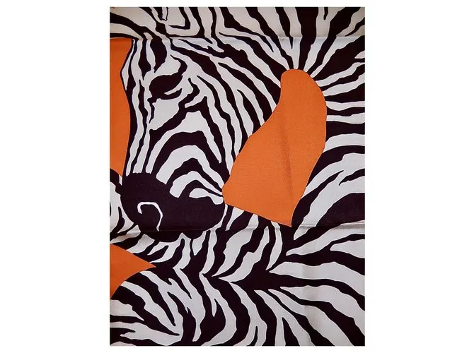 Hermès ZEBRA PEGASUS Multicolor 