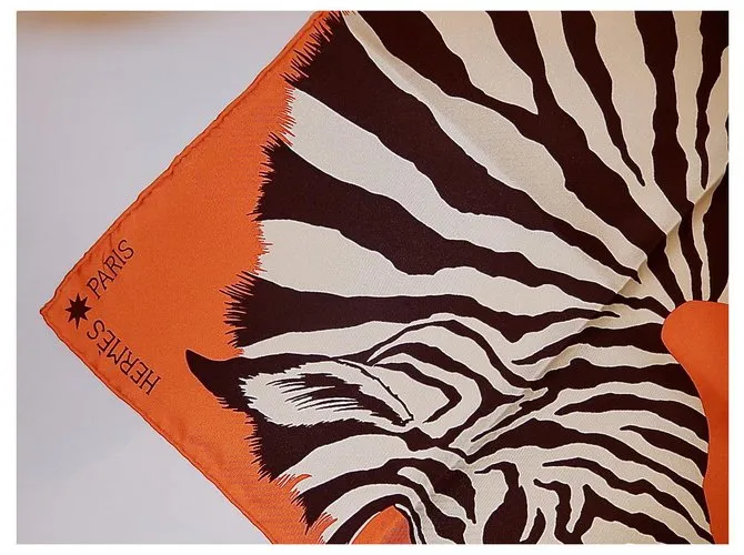 Hermès ZEBRA PEGASUS Multicolor 