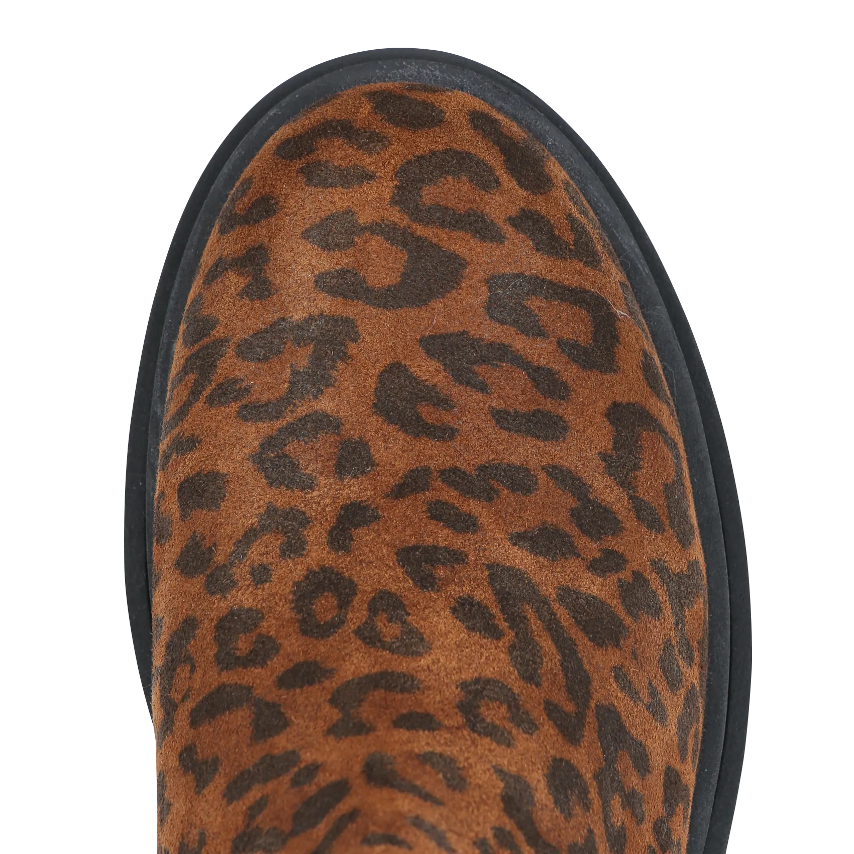 I CODE Botines de cuero de gamuza estampado en marron