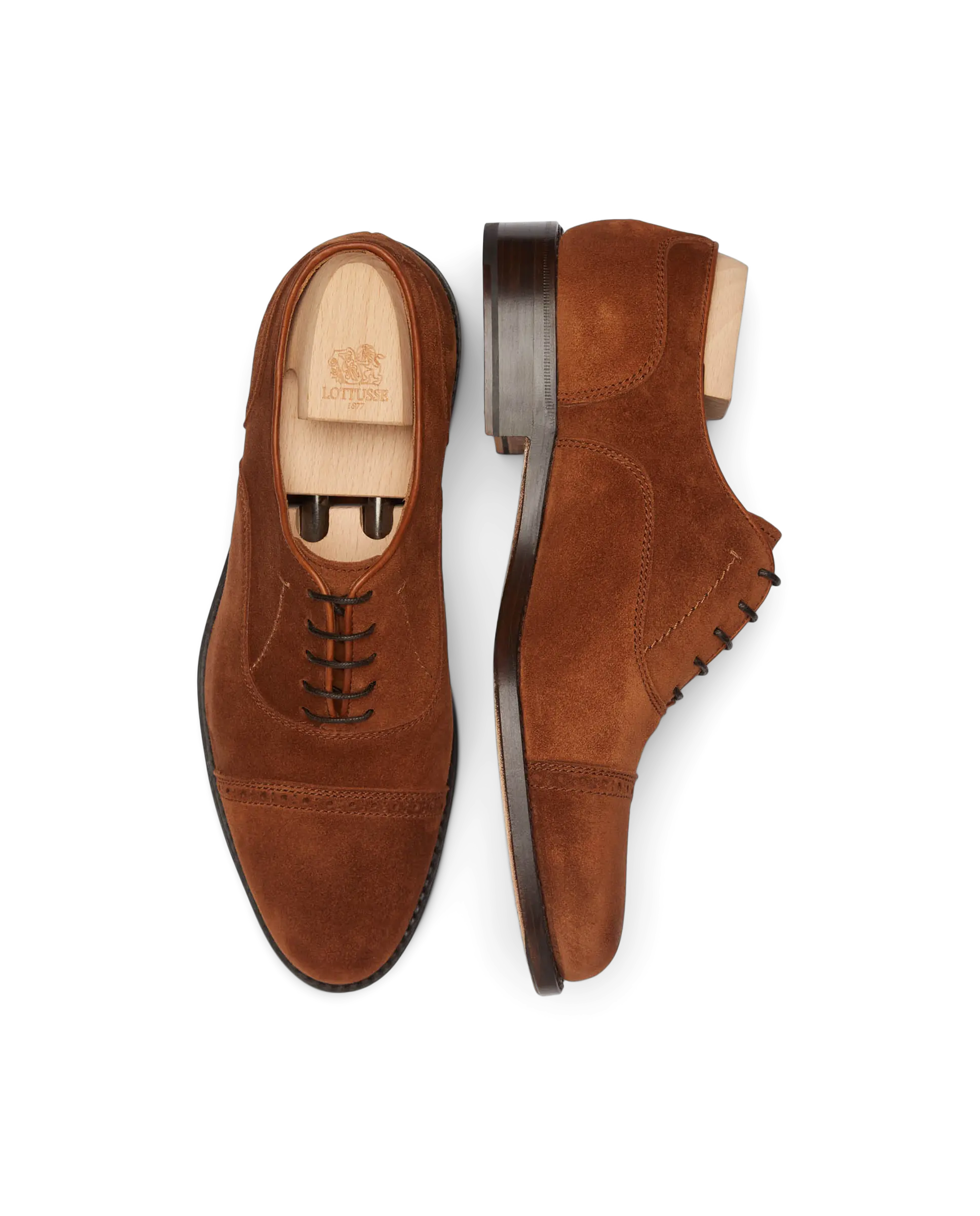 Oxford Puntera Recta Premium Marron