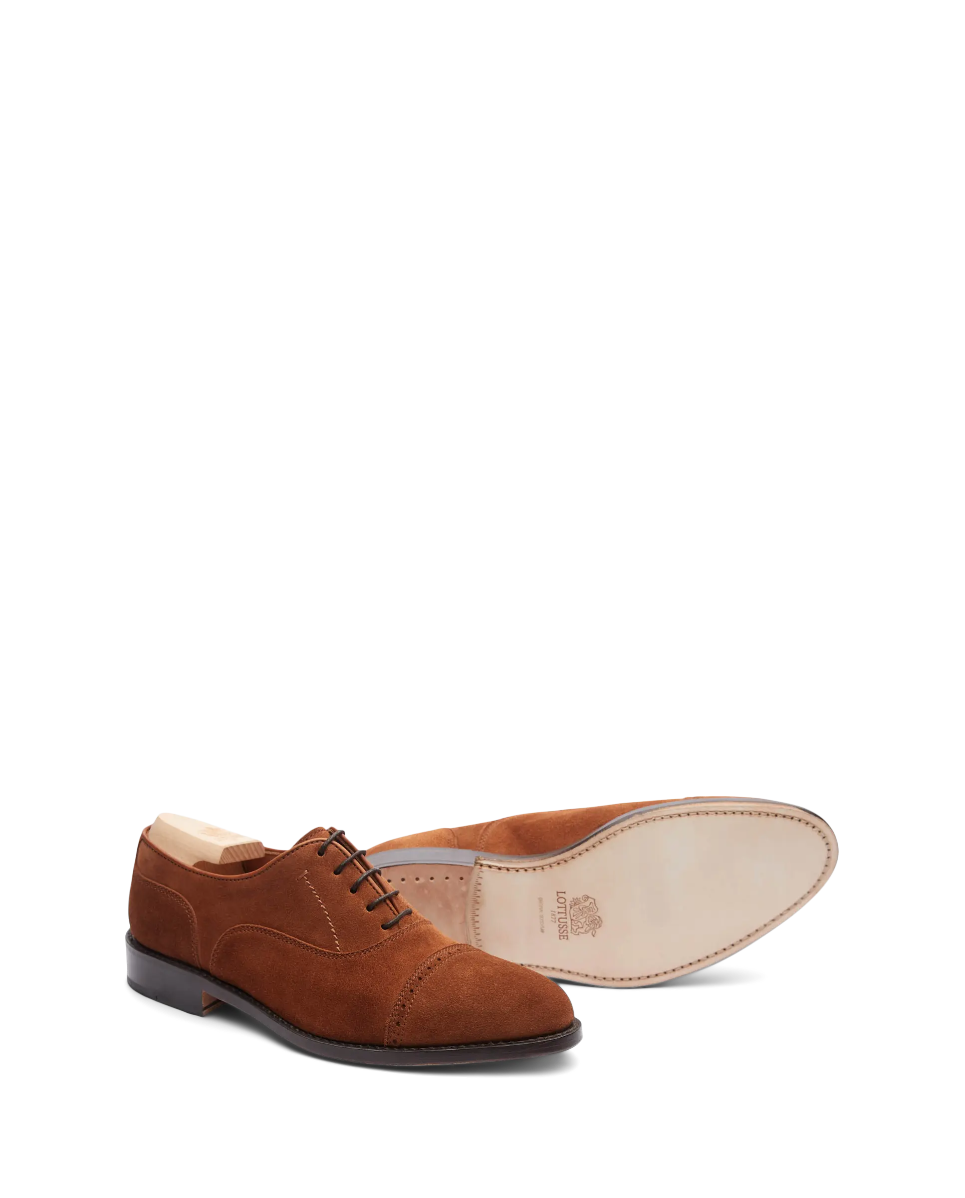 Oxford Puntera Recta Premium Marron