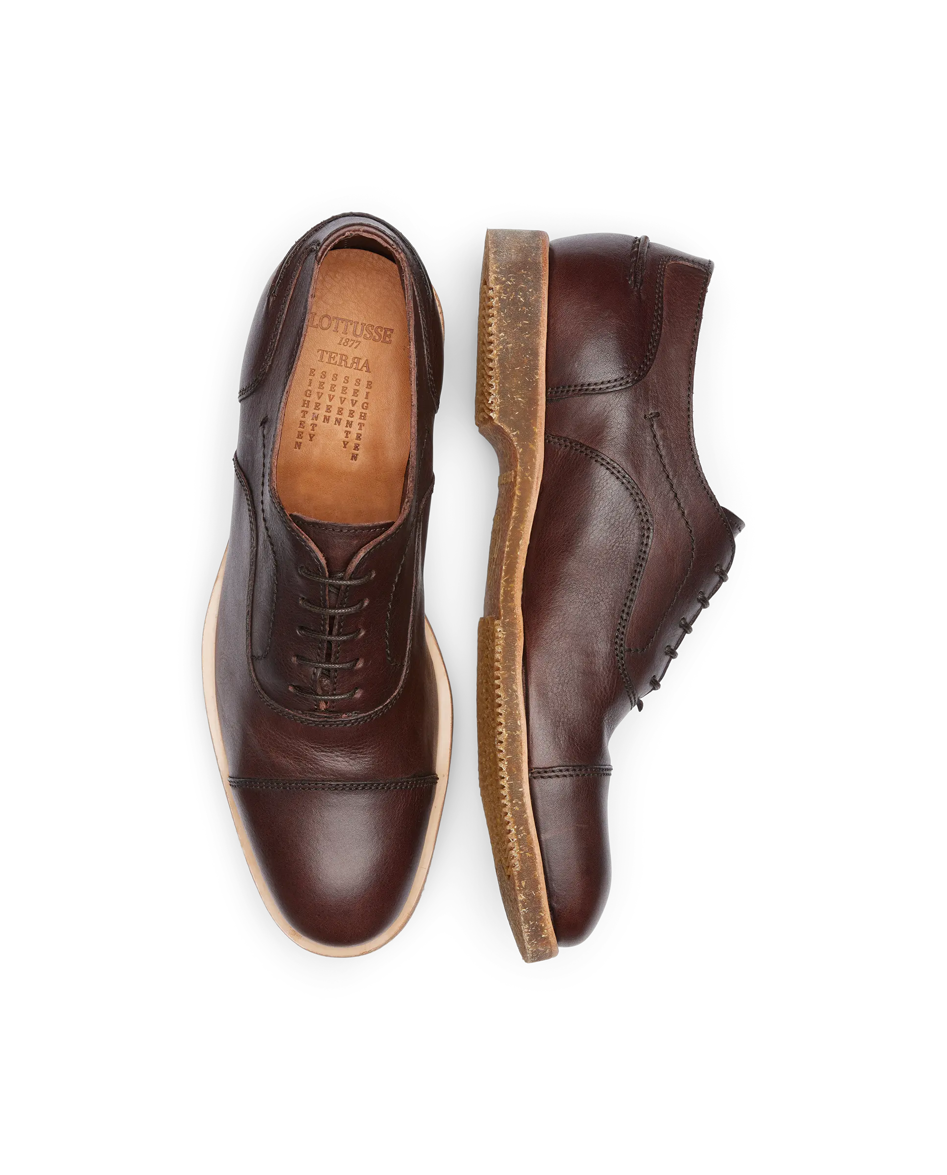 Oxford Puntera Terra Recta Marron