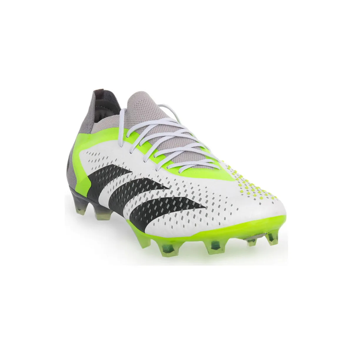 PREDATOR ACCURACY 1