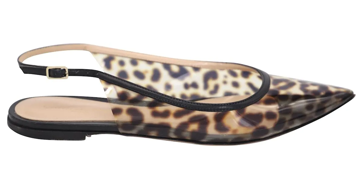 Zapatos planos con puntera en punta y estampado de leopardo de Gianvito Rossi en PVC multicolor 