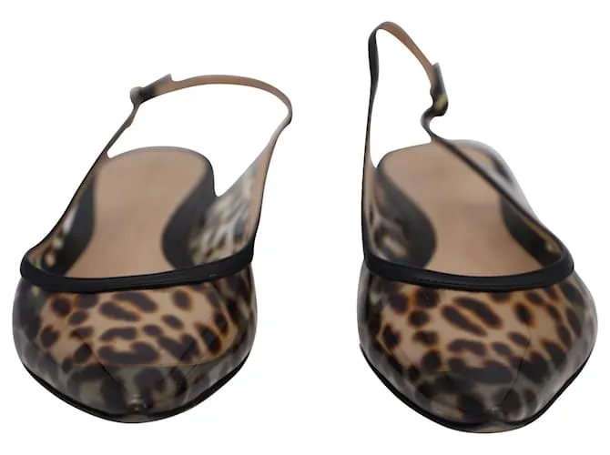Zapatos planos con puntera en punta y estampado de leopardo de Gianvito Rossi en PVC multicolor 