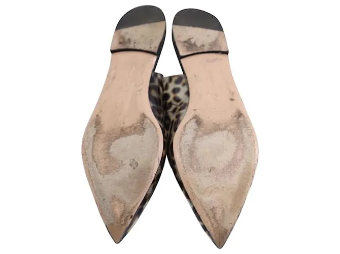 Zapatos planos con puntera en punta y estampado de leopardo de Gianvito Rossi en PVC multicolor 