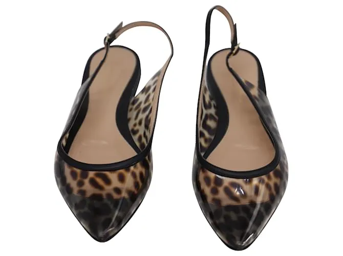 Zapatos planos con puntera en punta y estampado de leopardo de Gianvito Rossi en PVC multicolor 