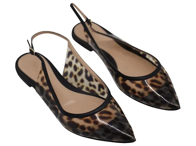 Zapatos planos con puntera en punta y estampado de leopardo de Gianvito Rossi en PVC multicolor 